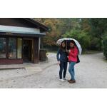 k-IMG_1960.jpg